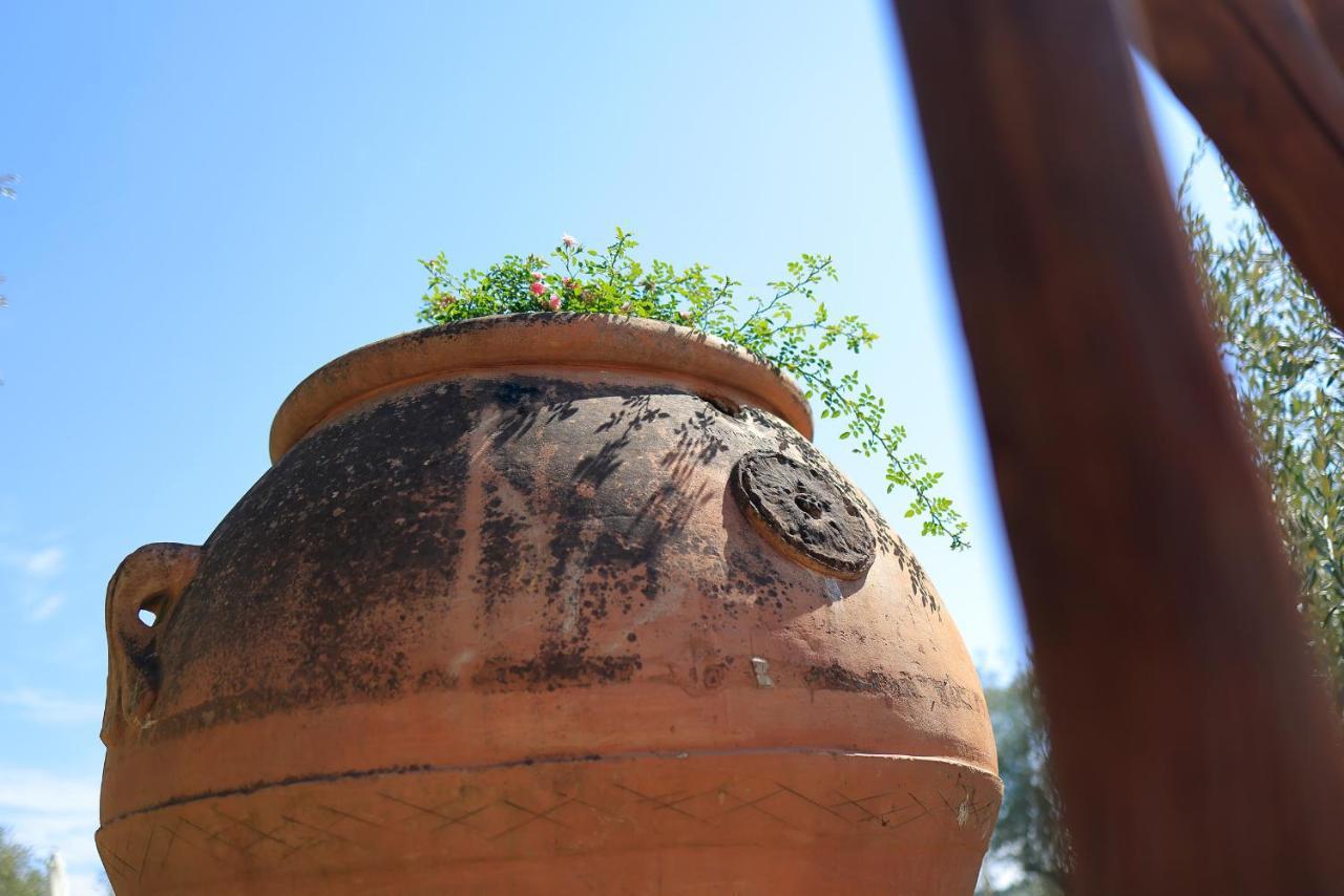 Agriturismo Villa Guarnaschelli Scandicci Exterior foto