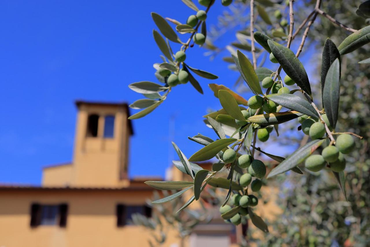 Agriturismo Villa Guarnaschelli Scandicci Exterior foto