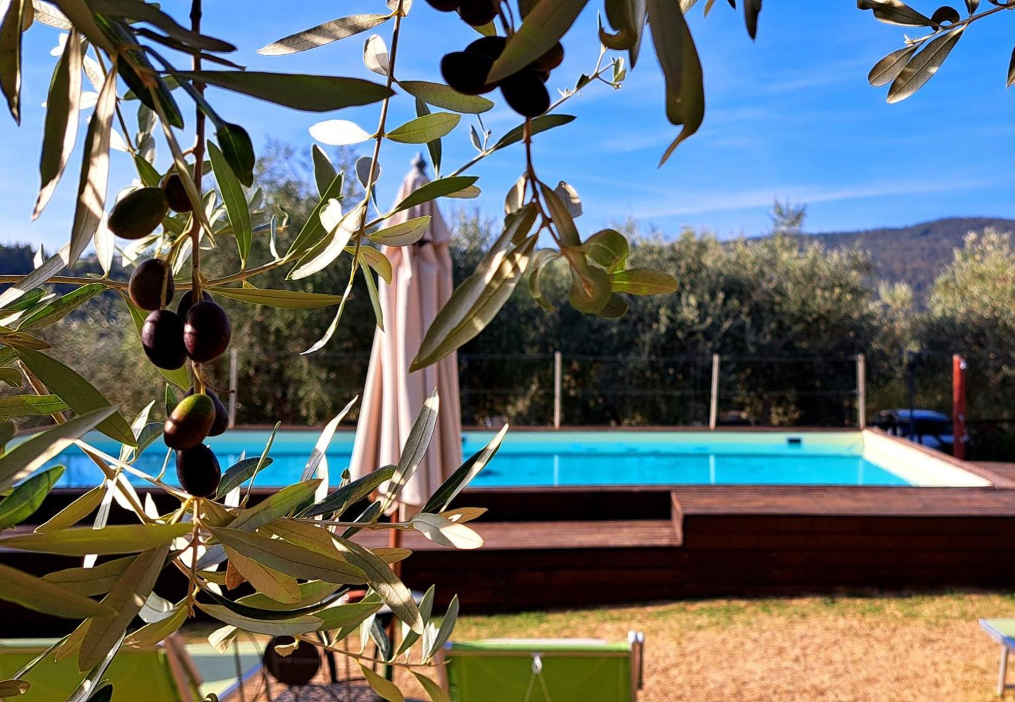 Agriturismo Villa Guarnaschelli Scandicci Exterior foto